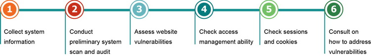 Website security audit