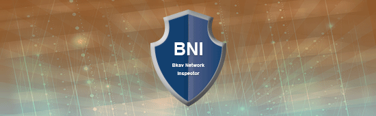 Bkav Network Inspector (BNI)
